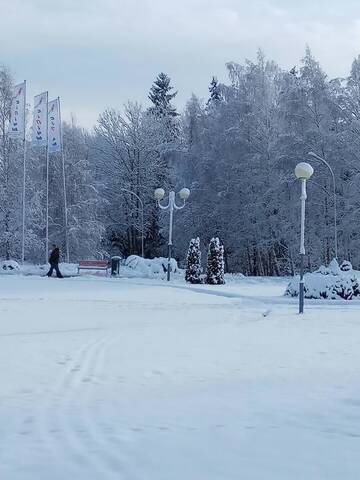Фото номера Семейный номер с видом на сад Загородные дома Usadba Tikhaya Dacha г. Dobrenevo 7