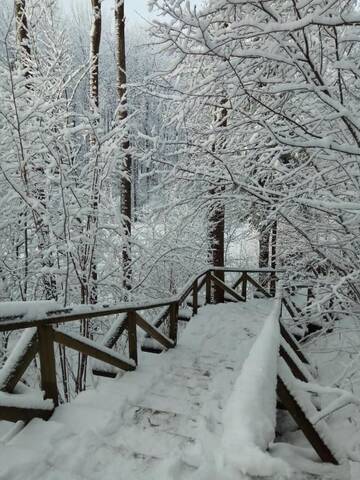 Фото номера Семейный номер с видом на сад Загородные дома Usadba Tikhaya Dacha г. Dobrenevo 104