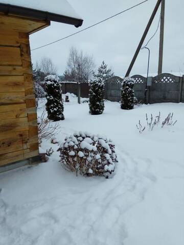 Фото номера Семейный номер с видом на сад Загородные дома Usadba Tikhaya Dacha г. Dobrenevo 101