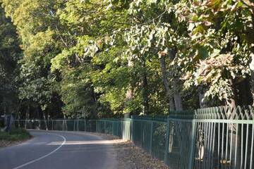 Фото номера Семейный номер с видом на сад Загородные дома Usadba Tikhaya Dacha г. Dobrenevo 91